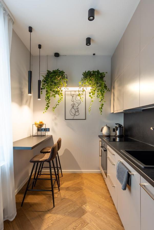 Old Town Apartment L Self Check In Wilno Zewnętrze zdjęcie